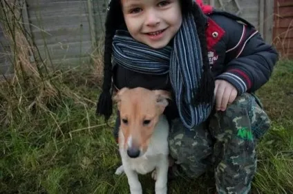 У відповіді за приручених