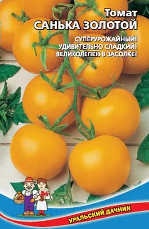 Характеристика сорту томату санька і його вирощування (характеристика опис томат помідори санька) Характеристика сорту томату санька і його вирощування