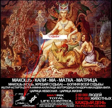 Вся правда про місяць