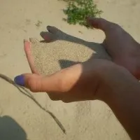 Яєчна шкаралупа з лимоном від алергії, мітки відгук (вагітність по тижнях) Яєчна шкаралупа з лимоном від алергії, мітки відгук