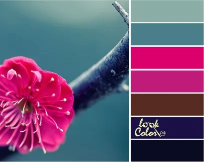 Яскраво-рожевий колір і поєднання з ним, lookcolor (колір) Яскраво-рожевий колір і поєднання з ним, lookcolor