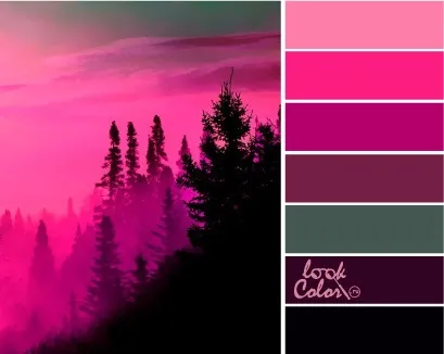 Яскраво-рожевий колір і поєднання з ним, lookcolor (яскраво-рожевий) Яскраво-рожевий колір і поєднання з ним, lookcolor