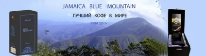 Хлібопекарські суміші для випічки хліба (випічки) Хлібопекарські суміші для випічки хліба
