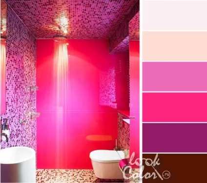 Яскраво-рожевий колір і поєднання з ним, lookcolor (поєднання) Яскраво-рожевий колір і поєднання з ним, lookcolor