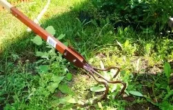 Навіщо забивати цвяхи в дерево (аптечка є городня) Навіщо забивати цвяхи в дерево