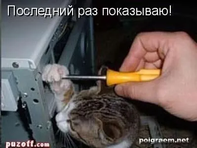 Навіщо чоловік потрібен (вірші) Навіщо чоловік потрібен