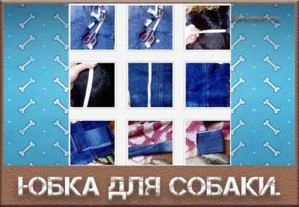 Спідниця для собаки своїми руками з джинсової тканини (руками) Спідниця для собаки своїми руками з джинсової тканини