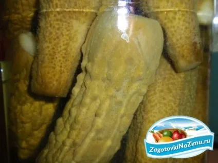 закачування огірків