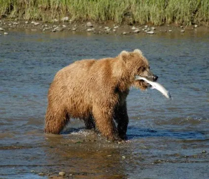 Загадки з займенниками