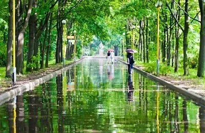 Запах дощу з точки зору науки, поезія ароматів