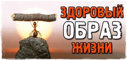 Здоровий спосіб життя! правильне розуміння