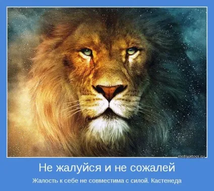 Жалість і співчуття