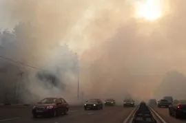 Життя у дороги може бути небезпечною для вашого здоров'я