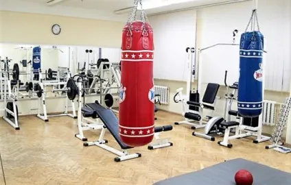 Жіночий бодібілдинг пам'ятка для початківців (початківців) Жіночий бодібілдинг пам'ятка для початківців