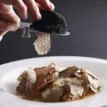 Трюфель - види, користь і шкода, особливості вирощування, грибний сайт (трюфель) Трюфель - види, користь і шкода, особливості вирощування, грибний сайт