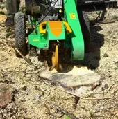 Видалення пнів тополі - послуги компанії промальпстрой (нижче рівня землі) Видалення пнів тополі - послуги компанії промальпстрой