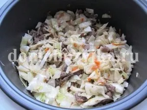 Тушкована капуста з м'ясом і картоплею в мультиварці-рецепт з фото (страви в мультиварці) Тушкована капуста з м'ясом і картоплею в мультиварці-рецепт з фото