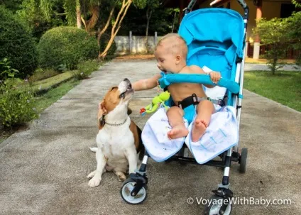 Товари для дітей в Таїланді - voyagewithbaby - подорожі з дітьми