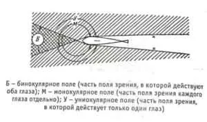 Зір риб - секрети успішної риболовлі (чи бачить риба) Зір риб - секрети успішної риболовлі