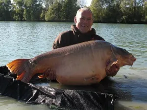 12 Найбільших коропів світу - carpfishing media (коропів) 12 Найбільших коропів світу - carpfishing media