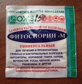 10 Помилок при вирощуванні розсади