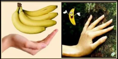 11 Продуктів, які особливо корисні для нашого організму (завдяки високому вмісту) 11 Продуктів, які особливо корисні для нашого організму