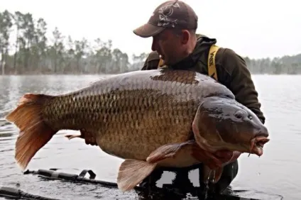 12 Найбільших коропів світу - carpfishing media (media) 12 Найбільших коропів світу - carpfishing media