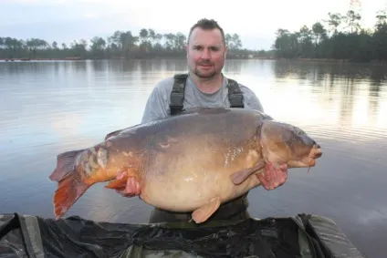 12 Найбільших коропів світу - carpfishing media (самих) 12 Найбільших коропів світу - carpfishing media