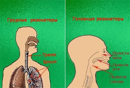 12 Урок