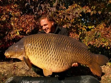 12 Найбільших коропів світу - carpfishing media (короп 30 кг) 12 Найбільших коропів світу - carpfishing media