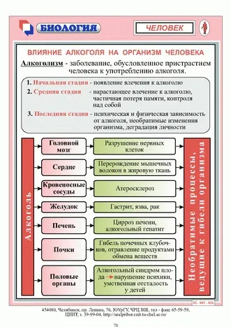 2 Шкідливі звички, їх вплив на здоров'я людини