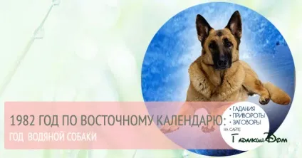 Тисяча дев'ятсот вісімдесят дві Який рік зодіаку (зодіаку) Тисяча дев'ятсот вісімдесят дві Який рік зодіаку
