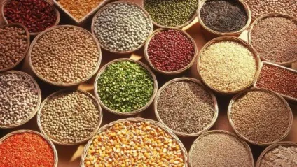 16 Продуктів, які можна з'їсти навіть після закінчення терміну придатності (з'їсти) 16 Продуктів, які можна з'їсти навіть після закінчення терміну придатності