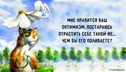 25 Оптимістичних цитат макса Фрая