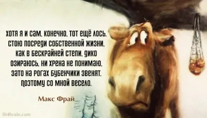 25 Оптимістичних цитат макса Фрая