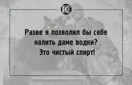 16 Славних фраз булгаковського кота бегемота, які створюють особливу атмосферу роману (кота) 16 Славних фраз булгаковського кота бегемота, які створюють особливу атмосферу роману