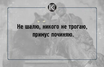 16 Славних фраз булгаковського кота бегемота, які створюють особливу атмосферу роману (кота) 16 Славних фраз булгаковського кота бегемота, які створюють особливу атмосферу роману