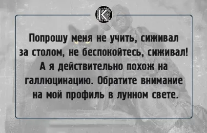 16 Славних фраз булгаковського кота бегемота, які створюють особливу атмосферу роману (булгаковського) 16 Славних фраз булгаковського кота бегемота, які створюють особливу атмосферу роману