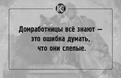 16 Славних фраз булгаковського кота бегемота, які створюють особливу атмосферу роману (кота) 16 Славних фраз булгаковського кота бегемота, які створюють особливу атмосферу роману
