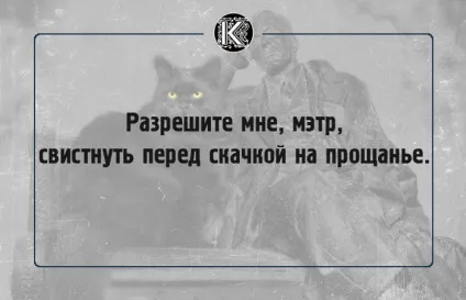 16 Славних фраз булгаковського кота бегемота, які створюють особливу атмосферу роману (кота) 16 Славних фраз булгаковського кота бегемота, які створюють особливу атмосферу роману