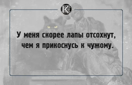 16 Славних фраз булгаковського кота бегемота, які створюють особливу атмосферу роману (роману) 16 Славних фраз булгаковського кота бегемота, які створюють особливу атмосферу роману