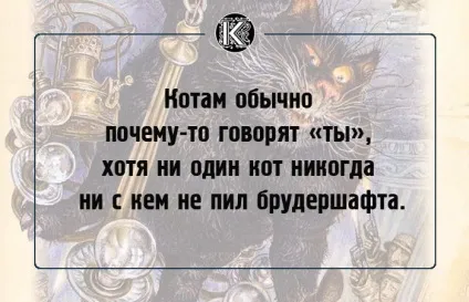 16 Славних фраз булгаковського кота бегемота, які створюють особливу атмосферу роману (фраз) 16 Славних фраз булгаковського кота бегемота, які створюють особливу атмосферу роману