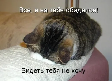 20 Фото скривджених тварин (тварин) 20 Фото скривджених тварин