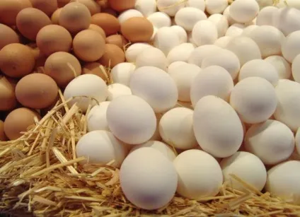 16 Продуктів, які можна з'їсти навіть після закінчення терміну придатності (після) 16 Продуктів, які можна з'їсти навіть після закінчення терміну придатності