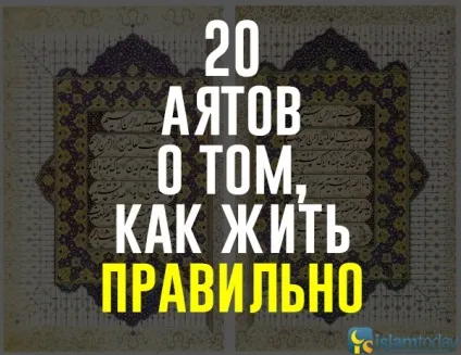 20 аятів з корану, про те як жити правильно (Коран) 20 аятів з корану, про те як жити правильно