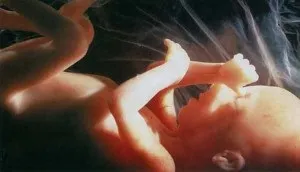 8 Місяць вагітності