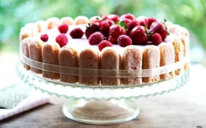 5 смачних рецептів торта «шарлотка з яблуками» (торта) 5 смачних рецептів торта «шарлотка з яблуками»