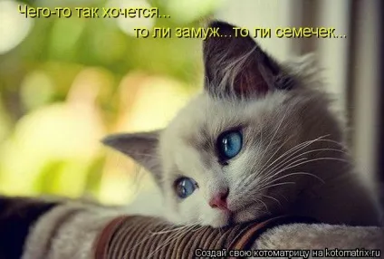 8 Якостей цнотливою жінки)