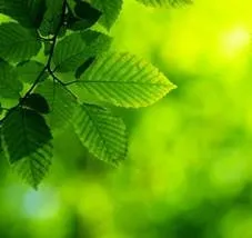 А як правильно вибрати і знайти свій (клієнта) колір (відтінок кольору) (правильно) А як правильно вибрати і знайти свій (клієнта) колір (відтінок кольору)