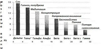 Альфа, тета, дельта хвилі